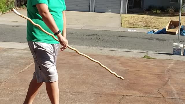 Son entertaining the elderly