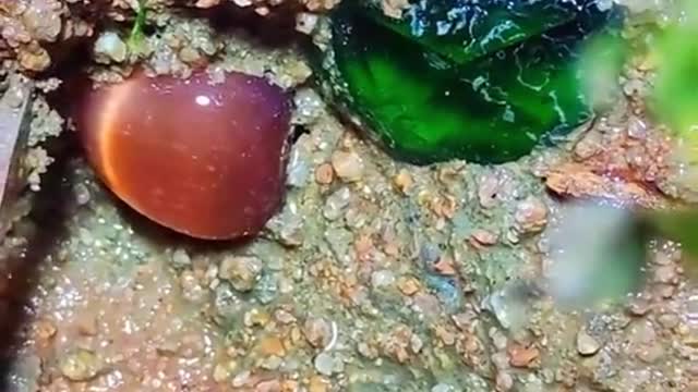 Very likely Stone