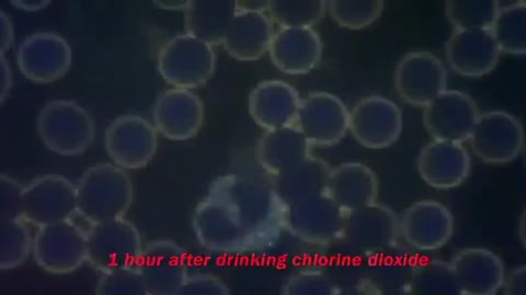 CI02:Chlorine Dioxide aka MMS/CDS