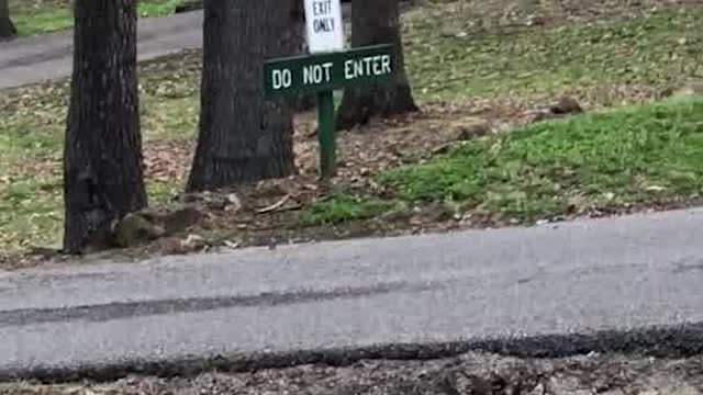 Boat Runs Down Ramp Without Owner