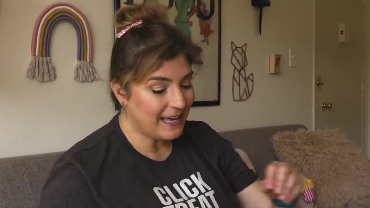 Training Your Cat is Easy and Fun