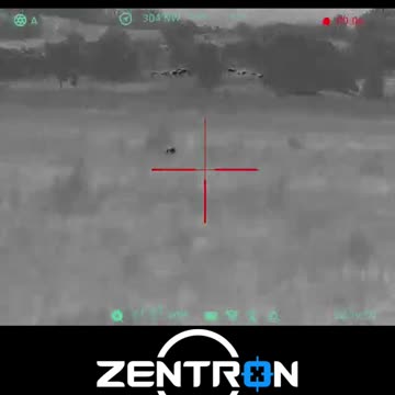 Zen Q635 Thermal Scope after Zeroing, 60m Fox Pitch Dark