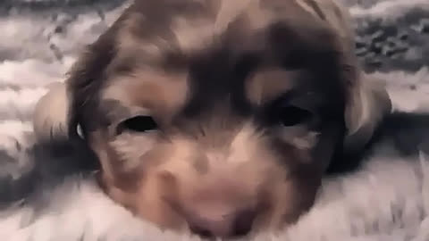 It's so small