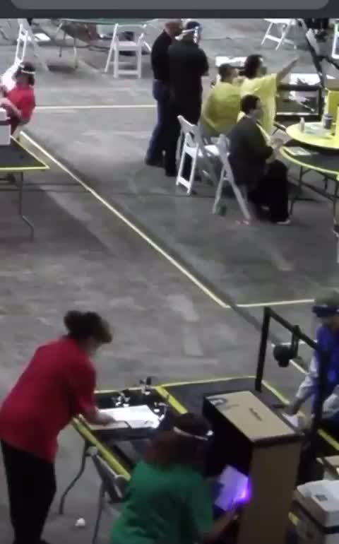 ARIZONA AUDIT UPDATE: Maricopa County are looking for watermarks