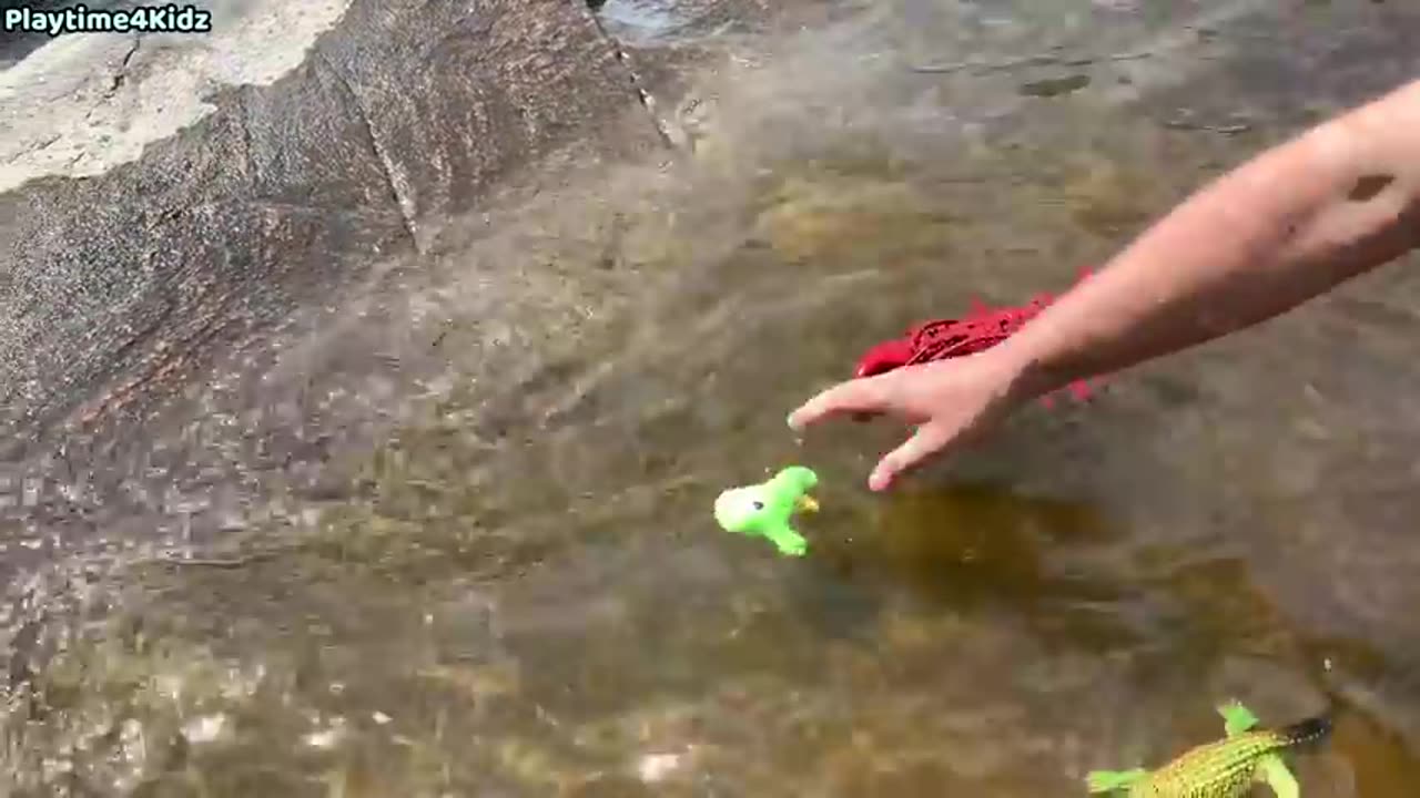 Sea animals toy this summer at that shore