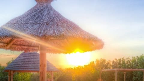 Relaxing Music | Sleeping, Meditation, Stress Relief | [1685] ⭐️