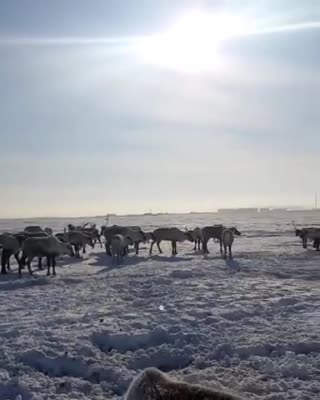 Beautiful residents of the Northern territory