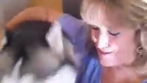Husky Rescued After 13 Years on a Chain Thanks Rescuer in a Big Way!