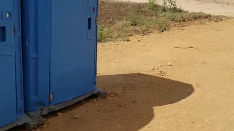 Serious Port-a-Potty Entertainment