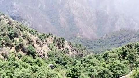 Beautiful tiktok