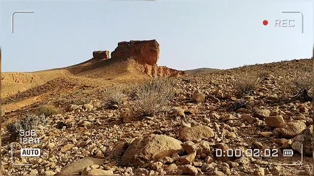 El kantara_Biskra_Algeria 🇩🇿🇩🇿🇩🇿