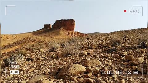 El kantara_Biskra_Algeria 🇩🇿🇩🇿🇩🇿