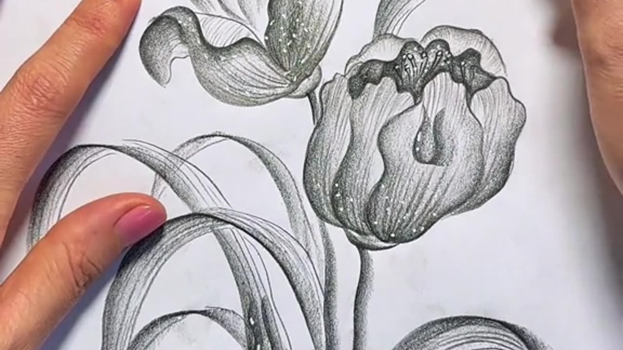 Amazing art||pencil drawing||drawing skills