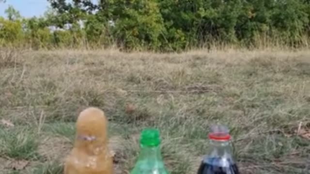 Coca Cola, Fanta, Sprite and Mentos 💥 | Experiment