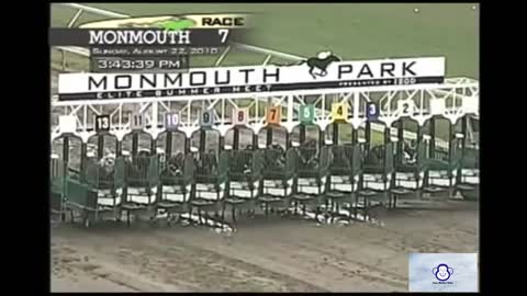 Funny Horse Race Commentary - Funny Monkey Media.mp4 2022