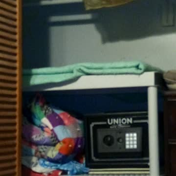 Beautiful Henry flies in to see the Big House remodeling work!