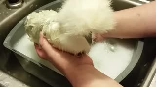 TINY TOT GETTING A SOAK