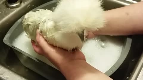 TINY TOT GETTING A SOAK