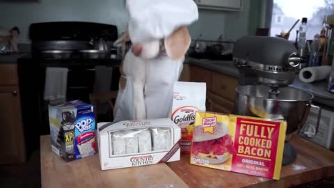 Chef Dog Bakes Cake: Funny Dog Maymo