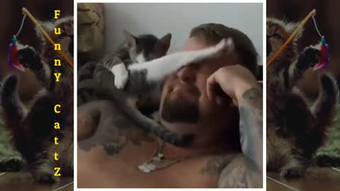 funny cat animal videos || funny cat moment