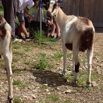 06.2020 Water Fight 02