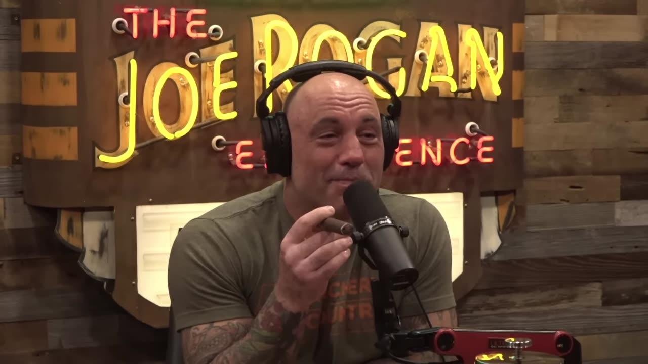 Joe Rogan & Theo LOL Would You Ever Wanna Do A Good Crime