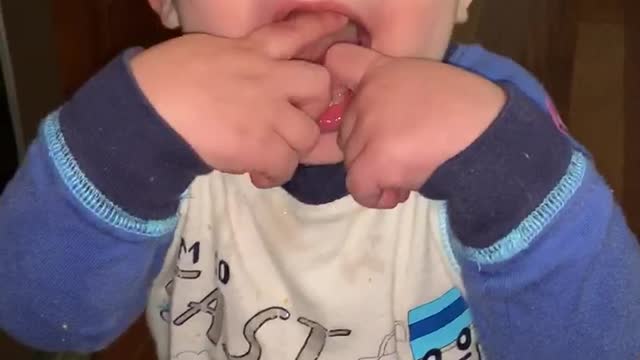 Baby tasting lemon