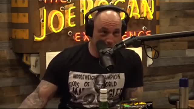 When Joe Rogan Met Donald Trump - Too Funny