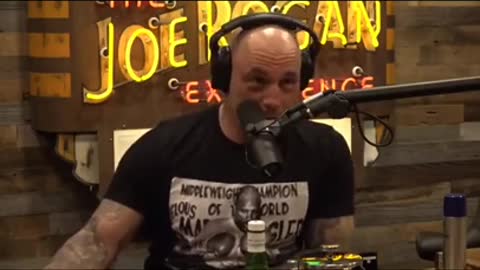 When Joe Rogan Met Donald Trump - Too Funny