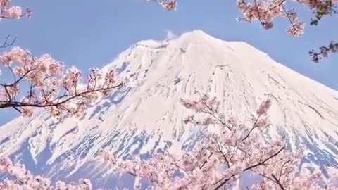 Soothing Japan
