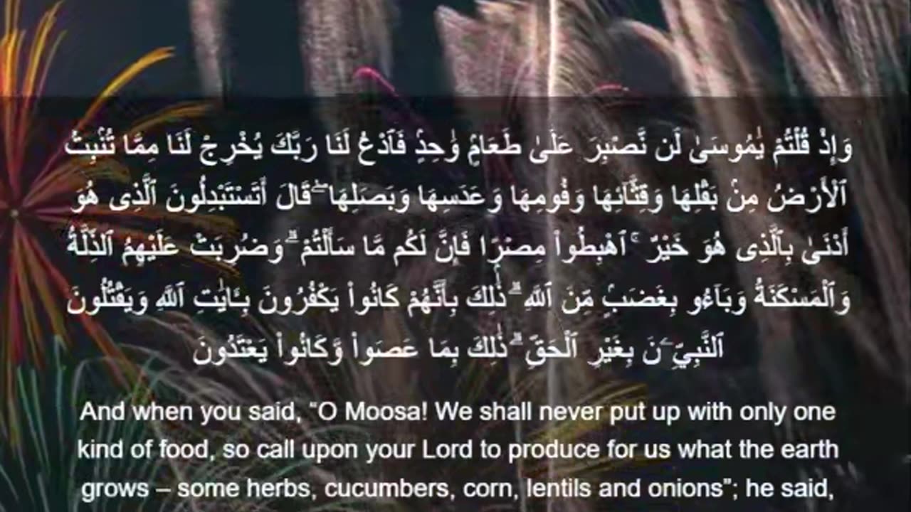 Beautiful recitation of the Holy Quran||تلاوة جميلة للقرآن الكريم