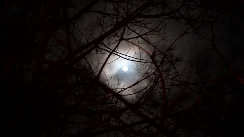 FULL MOON VIDEO HD
