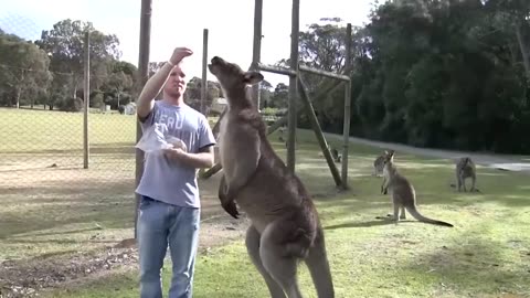 BEFORE AND AFTER GROWING UP. INCREDIBLE ANIMAL TRANSFORMATIONS