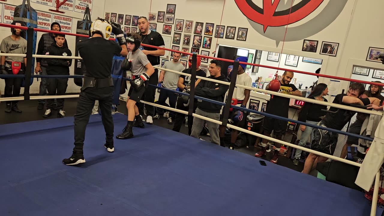 Joey sparring Damian 3. 11/12/24