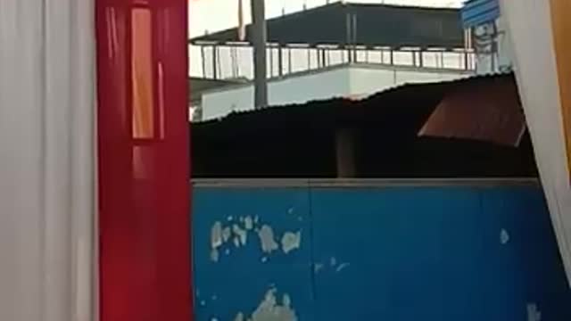 Funny video...monkeys