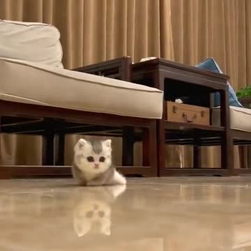 What is this lovely thing?