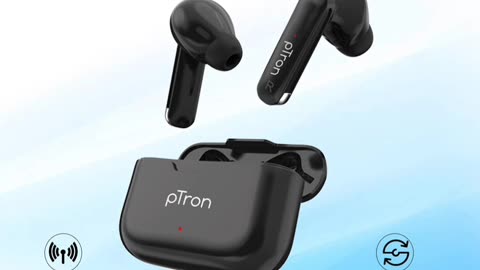 PTron Bassbuds Duo in Ear Earbuds