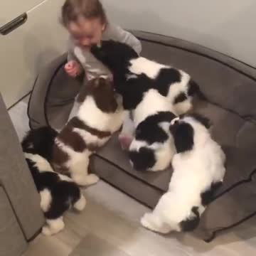 How can you not love this ? 🤗💖😊💖🤗