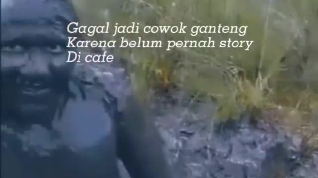 This is a beautiful and charming water-dwelling species