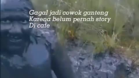 This is a beautiful and charming water-dwelling species