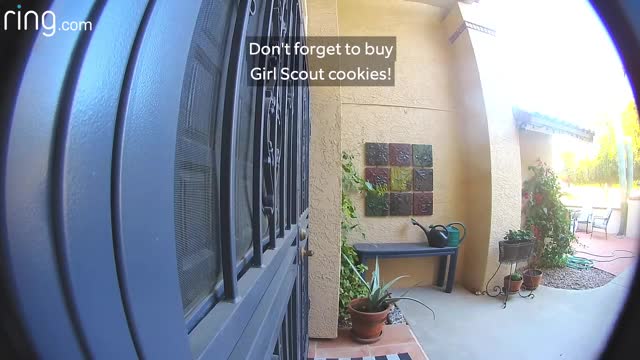 Little Girl Practices Her Girl Scout Cookie Sales Pitch Via Ring Video Doorbell Pro