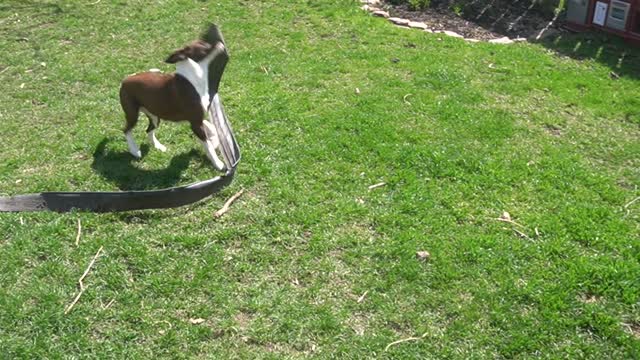 TUBBY'S LANDSCAPING SERVICE