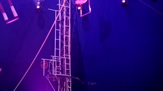 Guy walks upside down