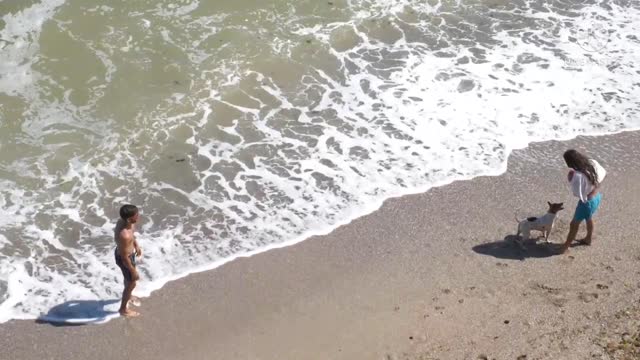 Dog playing Beach