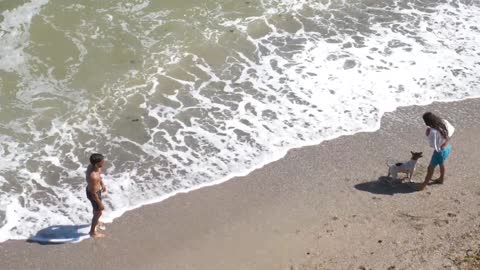 Dog playing Beach