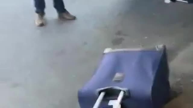 Brother Sister Luggage Prank