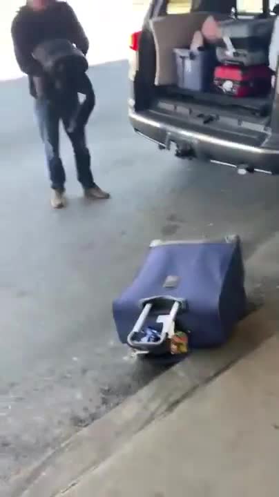 Brother Sister Luggage Prank
