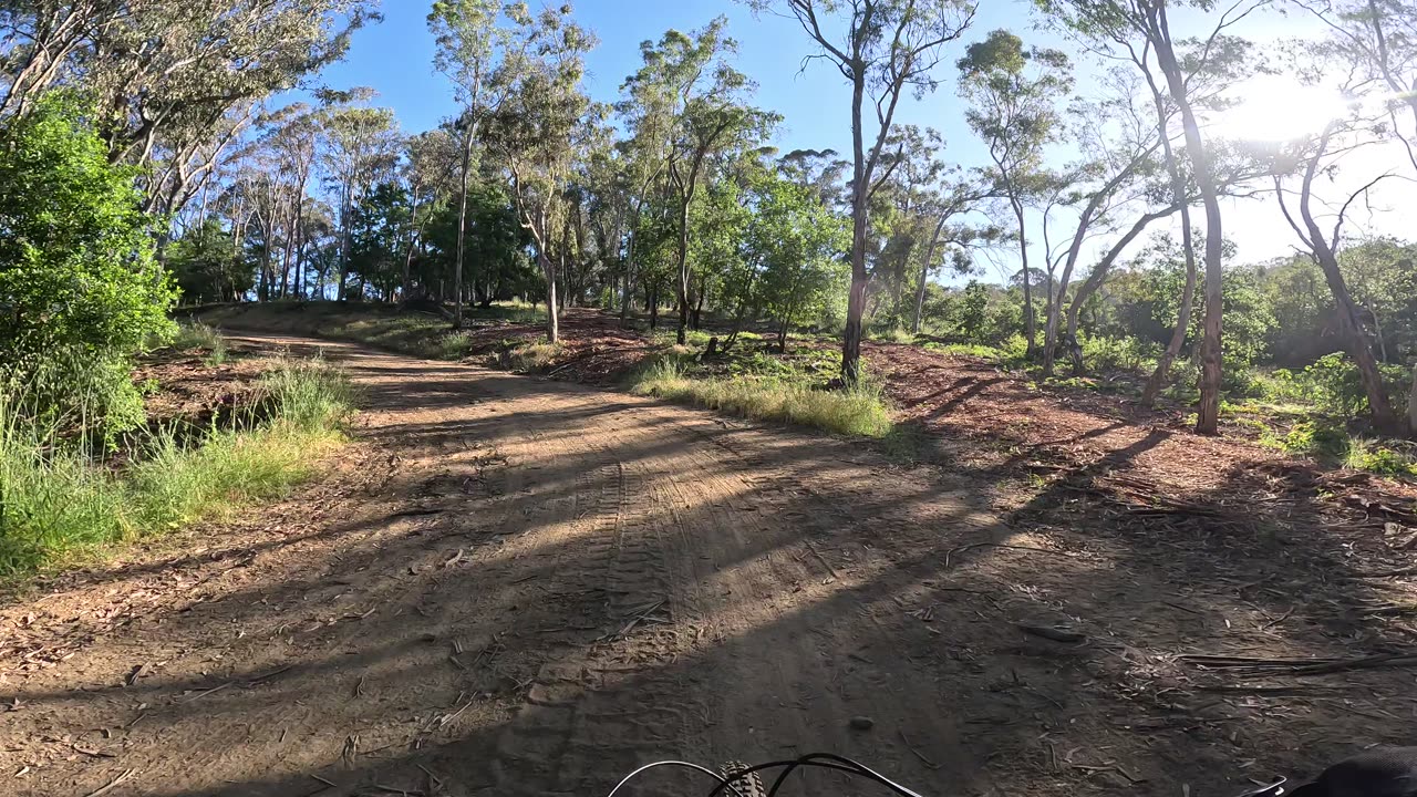 [MTB] Lake Chabot Regional Park (Castro Valley, CA); Lake Loop (Brandon Trail)