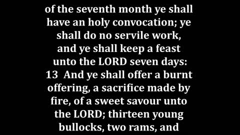 Numbers 29 King James version