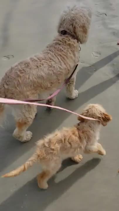 Veterans day @ Butler Beach 11.11.21